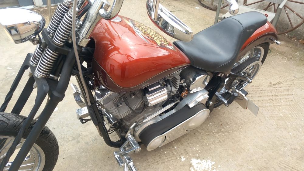 Kraf custom harley davidson