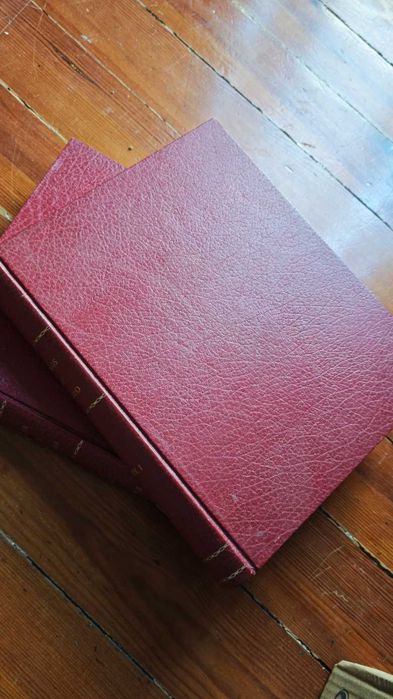 Livros “Mãos de Ouro” – Vol. I e II – Artes Manuais Vintage