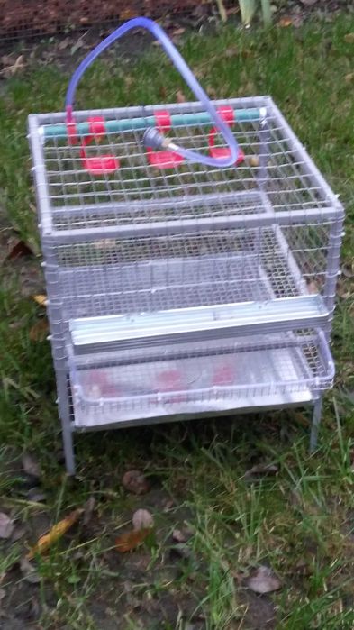 Брудер для курчат, перепелят .