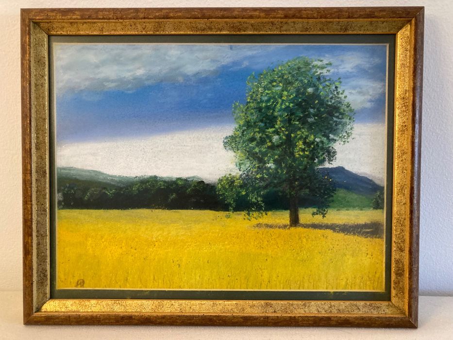 Pinturas (paintings)