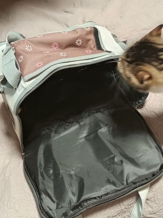 Сумка переноска для котов и собачек