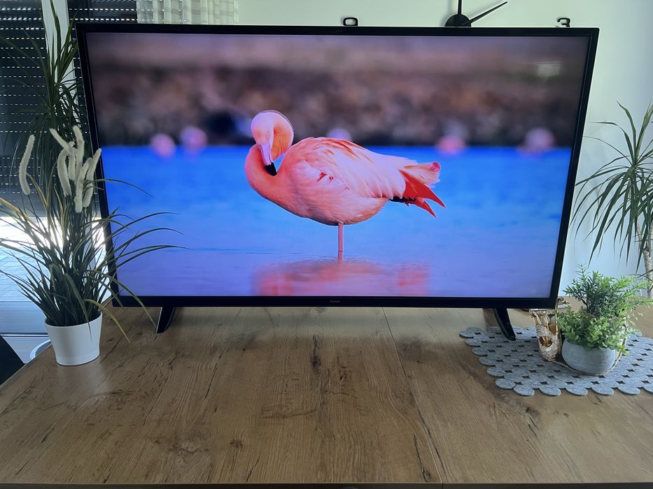 Telewizor 50 cali Piękny obraz Smart tv Youtube Netflix Canal+ Transport
