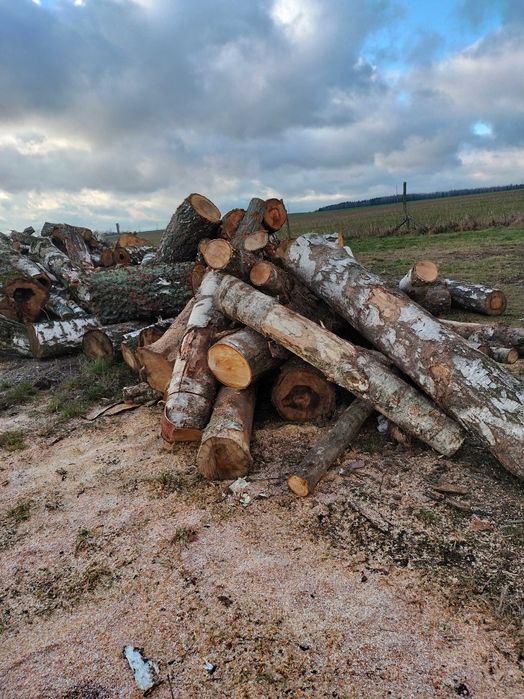 Drewno kominkowe i opałowe