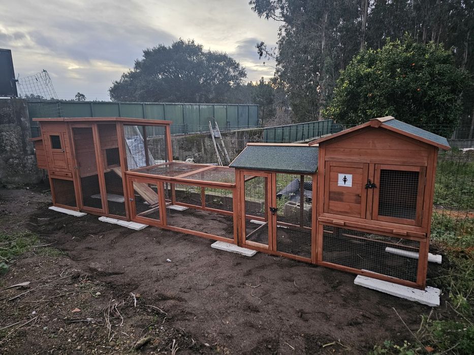 Galinheiro como Novo