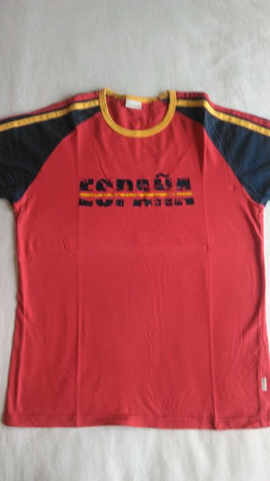 Salsa t-shirt euro 2004