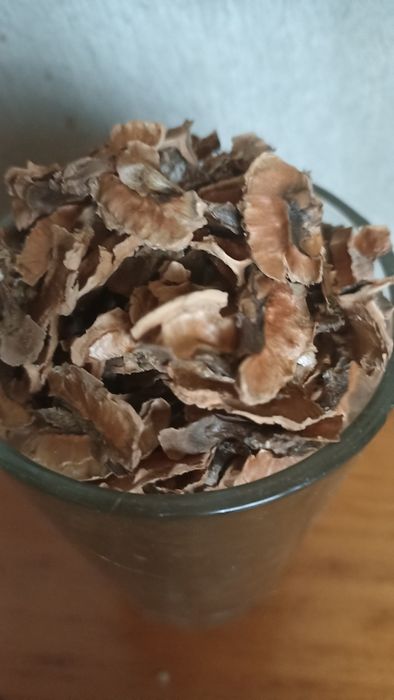 Горіхові перетинки, трава зубрівка