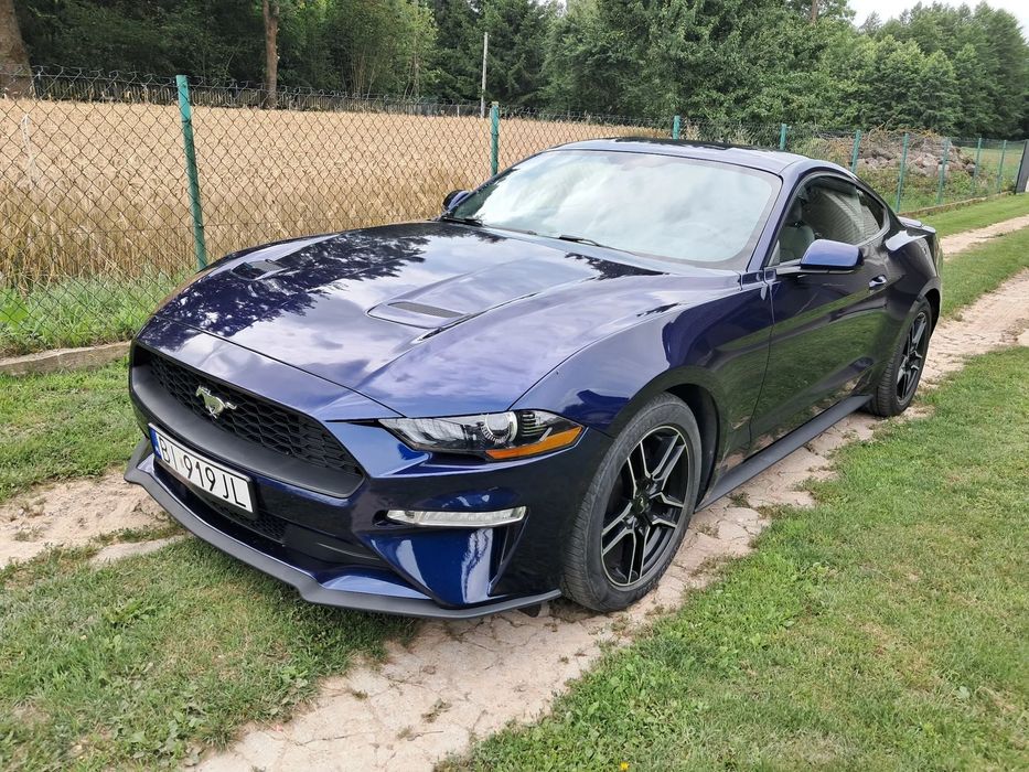 Ford Mustang Mustang w super stanie