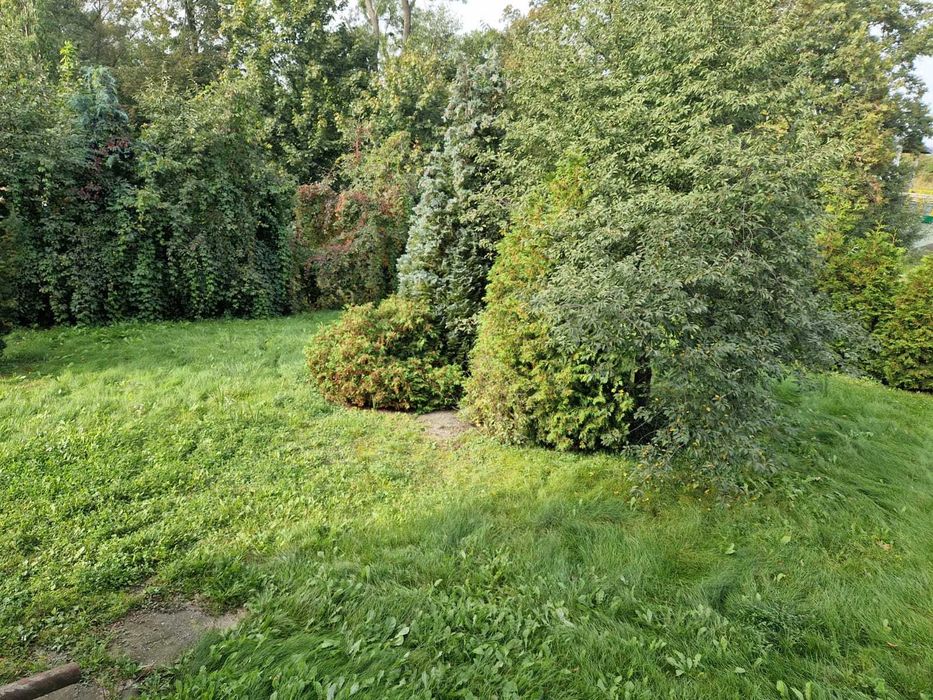 Sprzedam działkę 888 m² Sadki bardzo korzystna lokalizacja - Widok 3