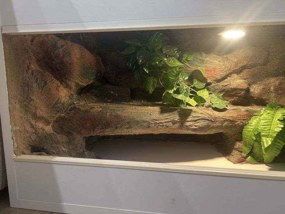 Terrarium 120 x 40 x 40
