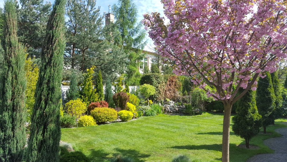 Usługi ogrodnicze, zakładanie, projektowanie i pielęgnacja ogrodów