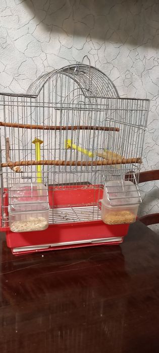 Клетка для попугая
