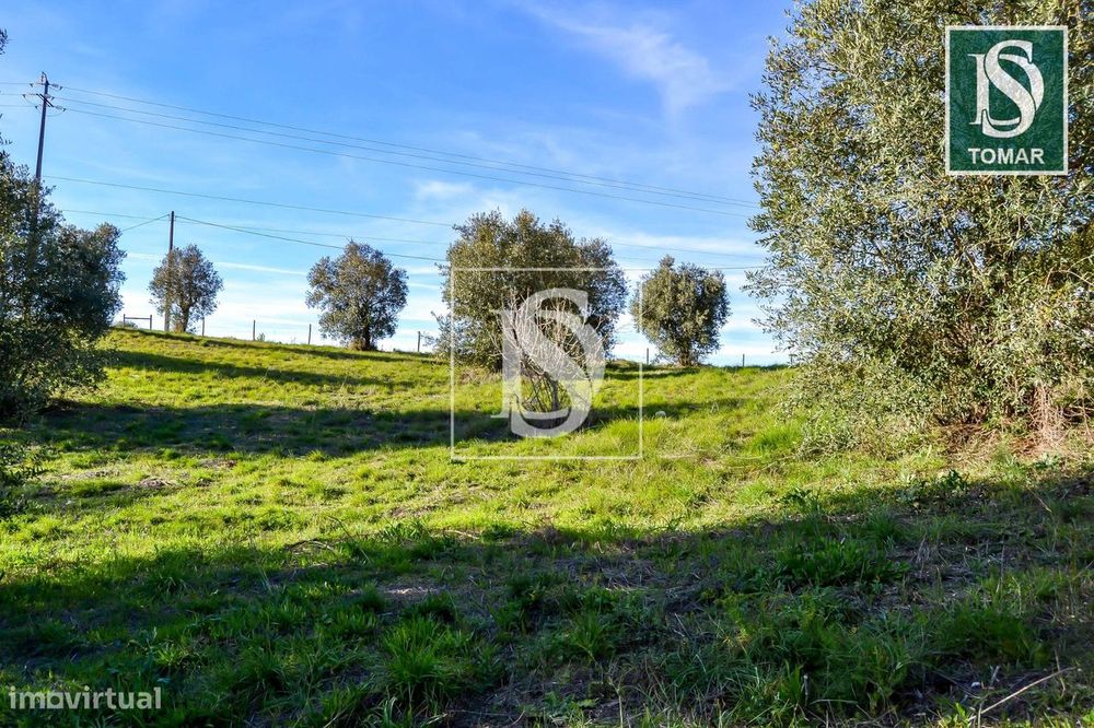 Terreno  Venda em Tomar (São João Baptista) e Santa Maria dos Olivais,