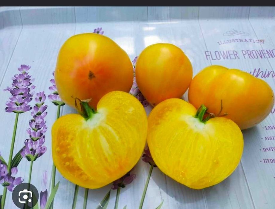 Sadzonki Pomidora i papryki