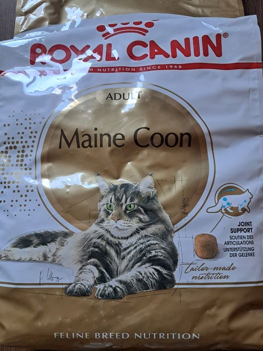 Royal Canin Maine coon  10kg kot