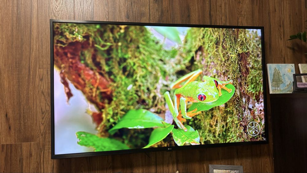 Telewizor 55 cali LG 4K UltraHD z pilotem Smart