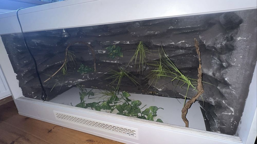 terrarium 120x50