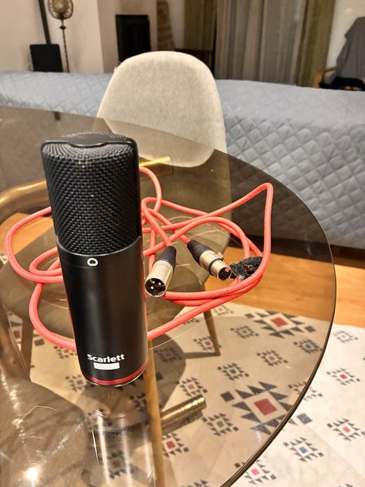 Professional SCarlett studio microphone