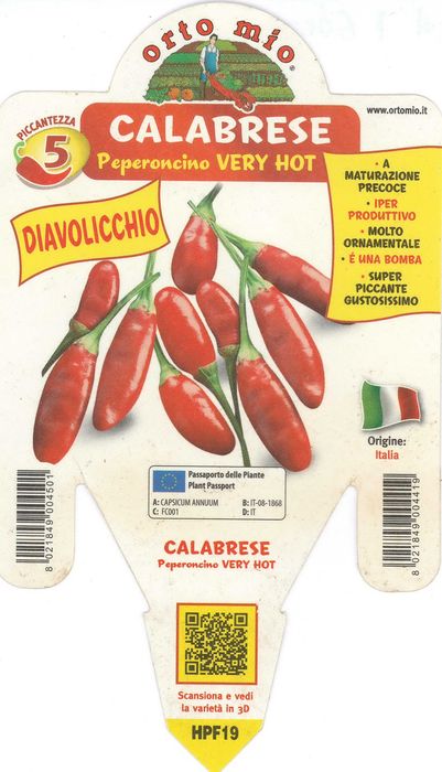 Papryka Peperoncino Calabrese Diavolicchio Kalabryjska diabelska chili