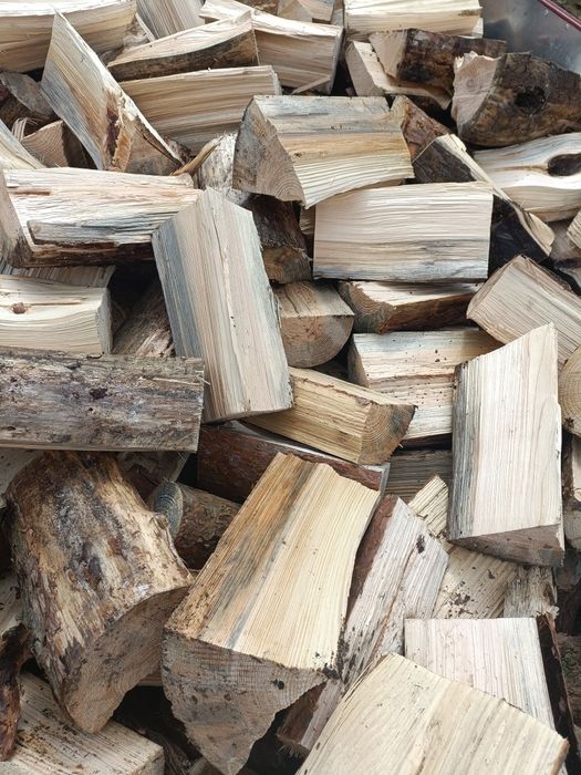 Drewno opałowe sosna