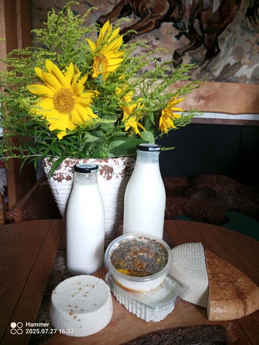 Mleko owcze, kozie, sery