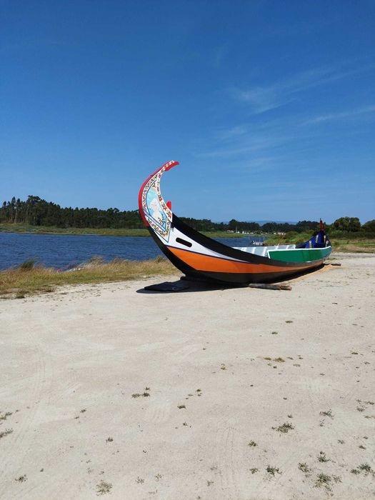Embarcação Típica - Moliceiro