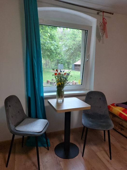 PROMOCJA Nd-Pt 1200zł