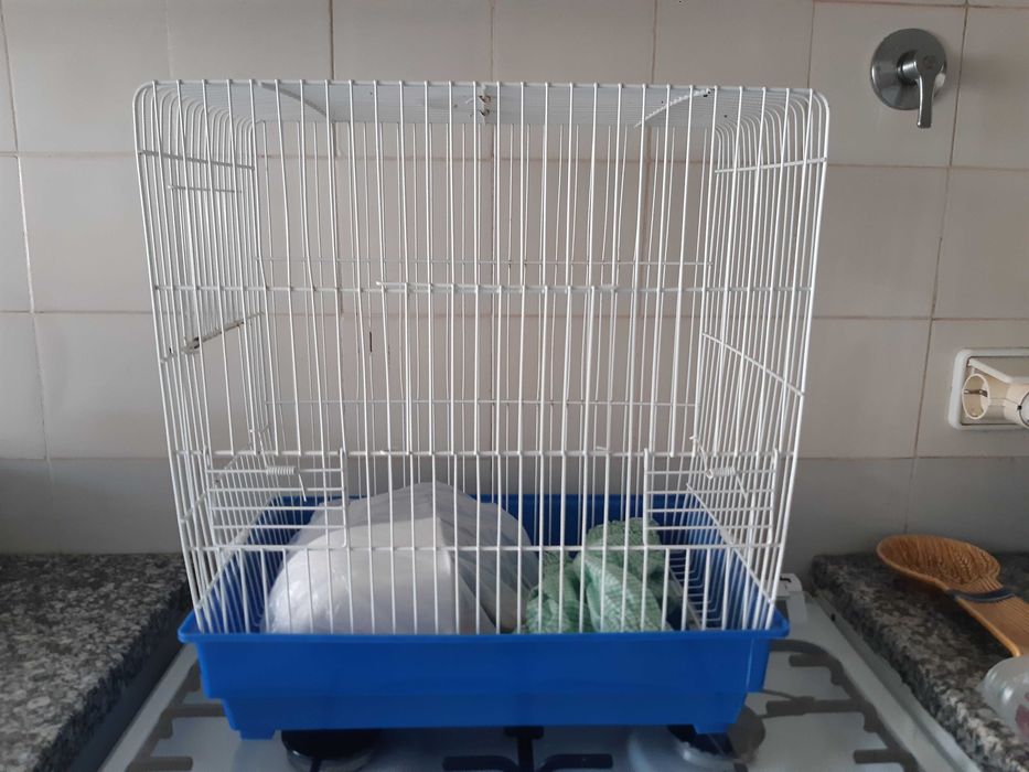 Gaiola para 1  a 2 aves e acessórios -oportunidade.