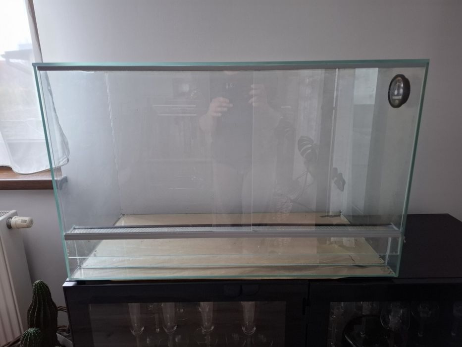 Szklane terrarium
