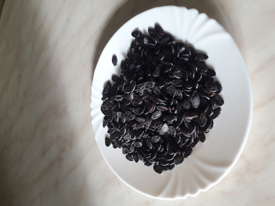 Арбуз семена не гибрид