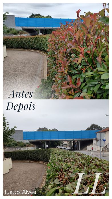 Manutenção de jardins 
• Podas de árvores 
• Limpeza de Terrenos 
• Construção de jardins e Relvados