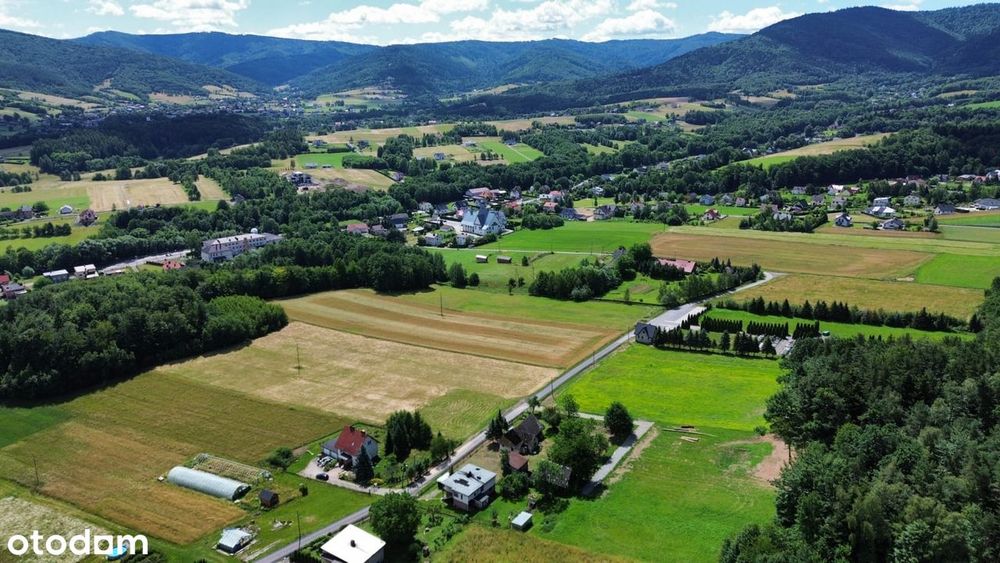 Sułkowice 3 działki do wyboru ul. Spokojna PIĘKNY LAS I WIDOK - Widok 2