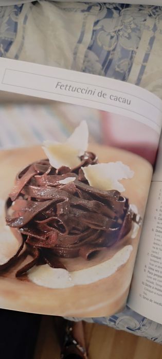 Livro Paixão pelo Chocolate usado