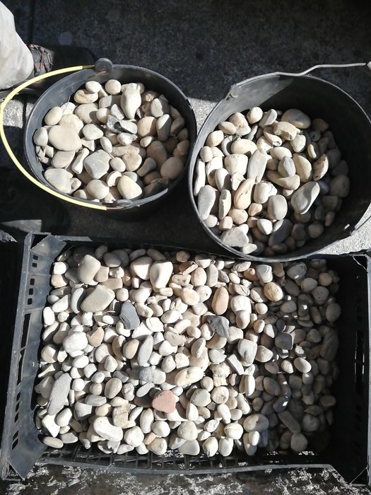 Gogos - Pedras de rio