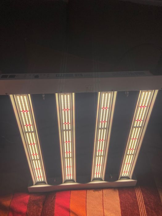 Grow para cultivo indoor