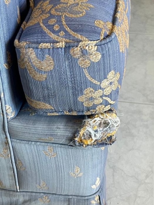 2 sofas, 1 is a bed sofa, very cozy