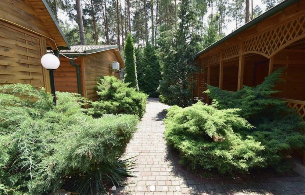 База відпочинку біля озера Світязь