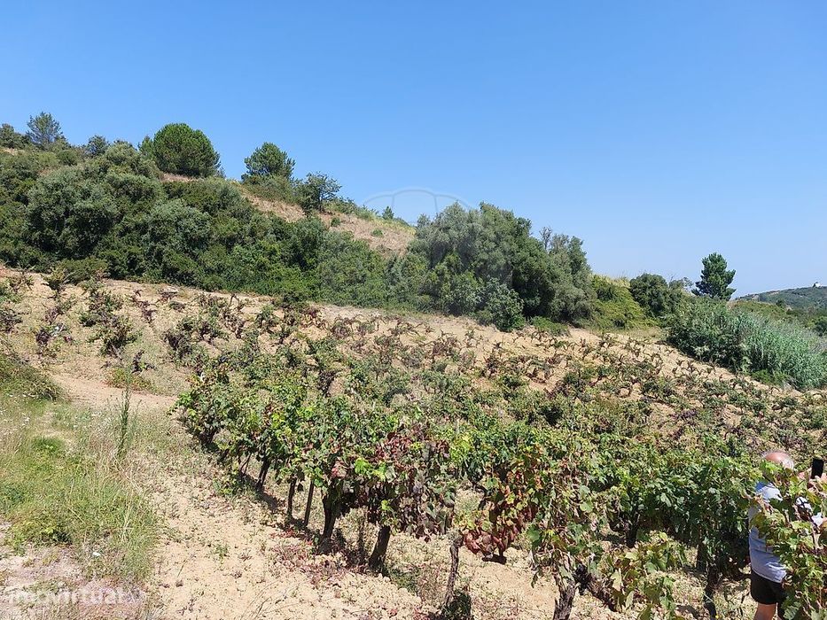 Terreno  para venda