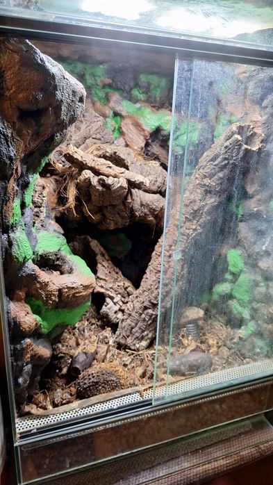 Terrarium z oświetleniem