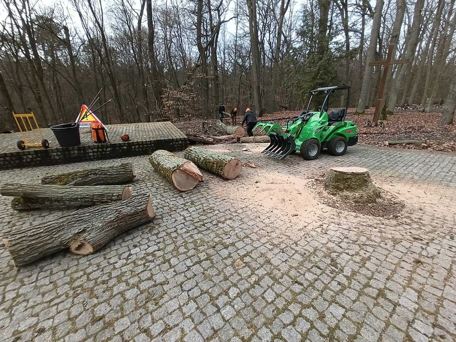 Karczowanie działek Legionowo | Wycinka drzew | Frezowanie pni