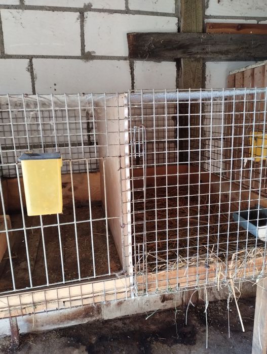 Klatki dla królików z wyposażeniem
