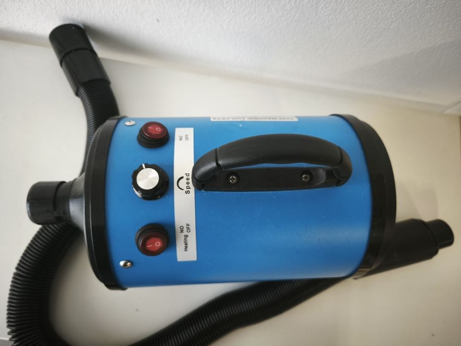 Secador de pêlo de cachorro