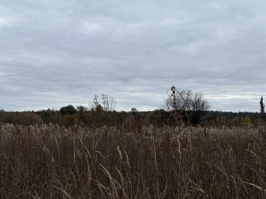 Продаж Ірпінь 164 сотки біля річки