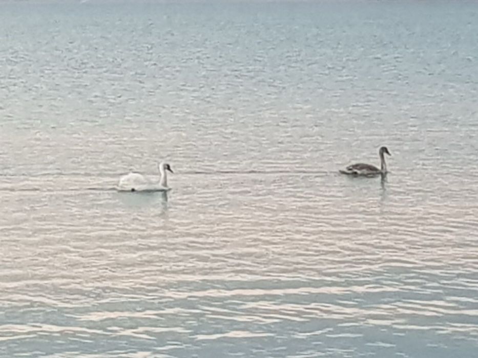 Дом по адресу (площадь 277 м²) - Atlanta.ua - фото 18