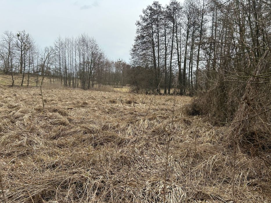 Działki budowlane Mickiewicza Pyrzyce