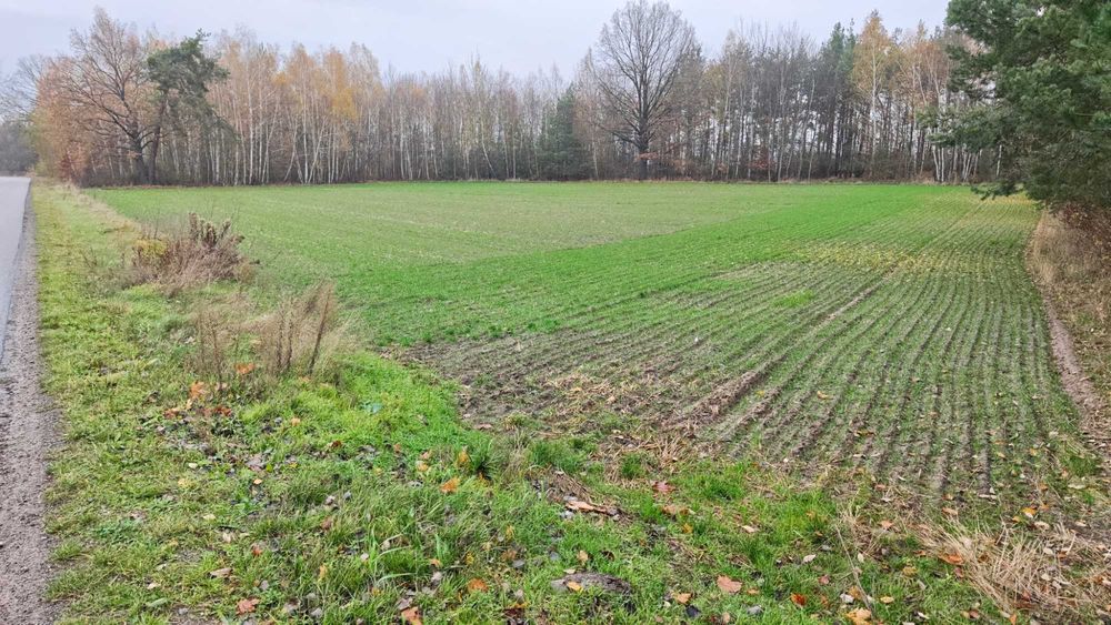 Działki budowlane na sprzedaż