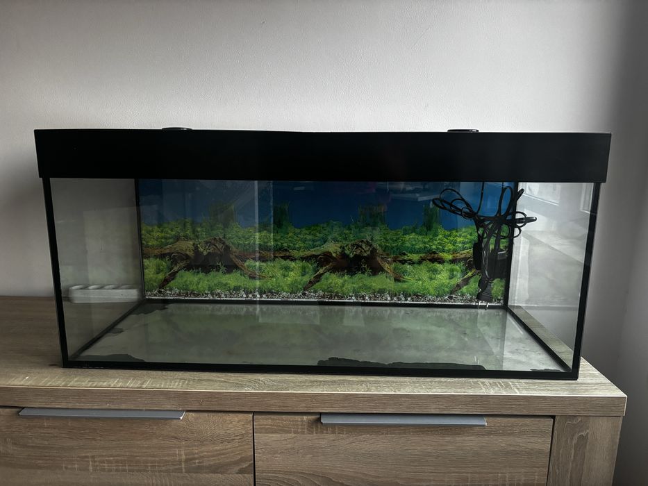 Akwarium dla rybek