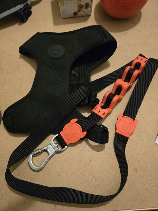 Acessórios e comida para cão