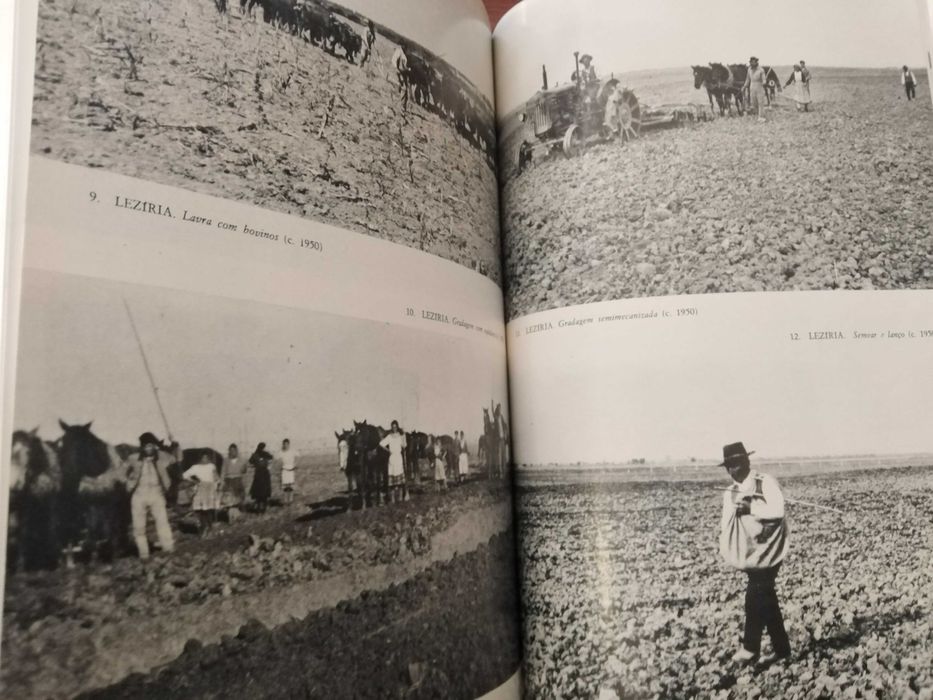Maria Micaela Soares - A mudança na cultura rural portuguesa