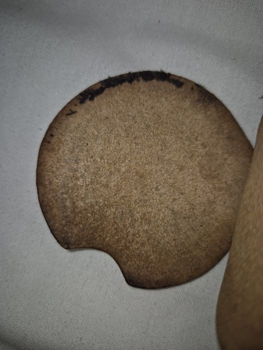 Elegante lupa de bolso antiga, dobrável, com capa protetora em pele legítima (cabedal)
