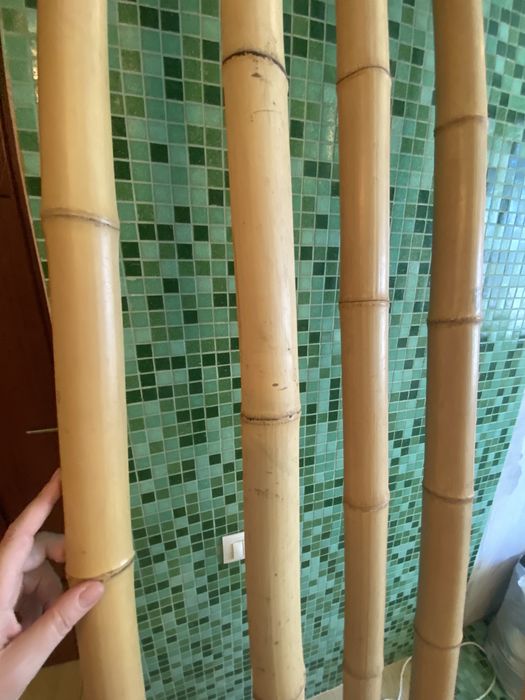 Бамбук для декора